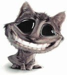 pic for happy cat  240x260